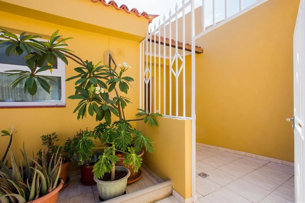 Apartment Ceyla Beach View, Los Cristianos Spagna